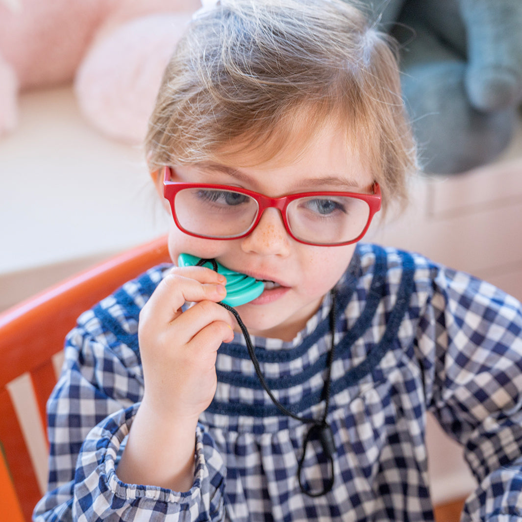 Sensory Chew Necklaces- TalkTools